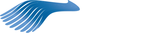 Brighter Solutions